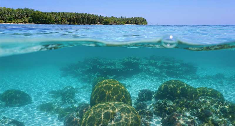 Digital Sea River Floors
